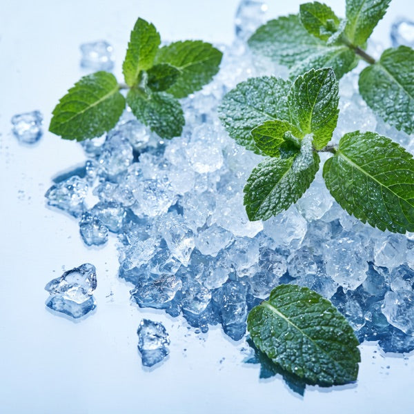Menthol (the cold)